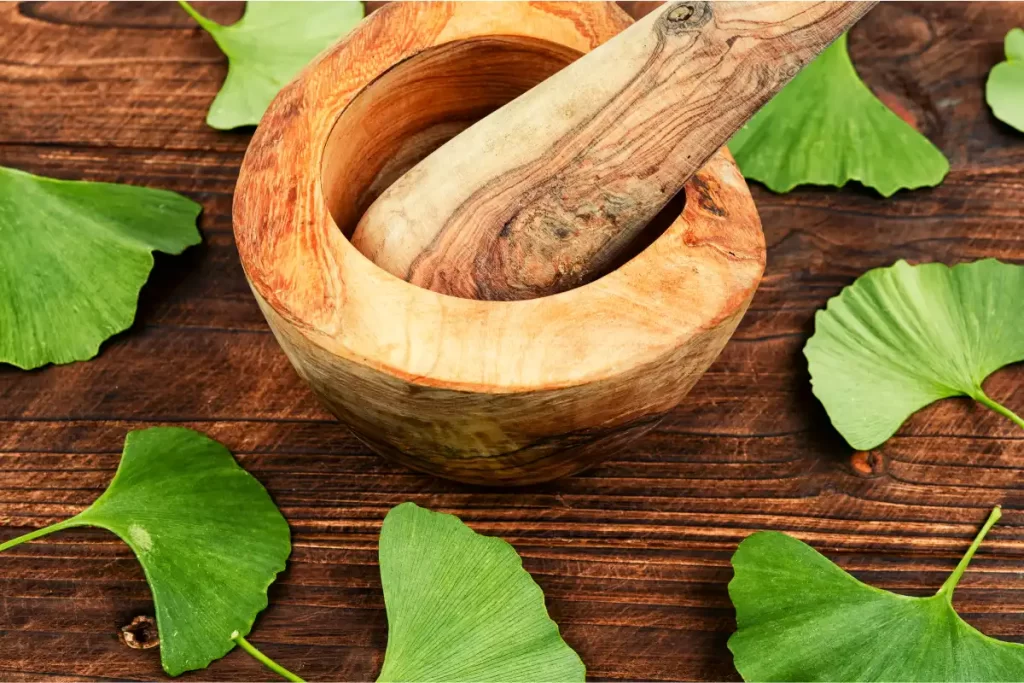 O cha de ginkgo biloba melhora a memória, a concentração, o humor, a visão, a pressão arterial, a saúde do coração e a libido. Aprenda como fazer o chá de ginkgo biloba e seus benefícios.