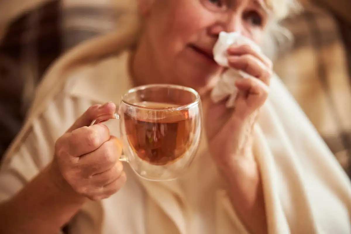 Descubra os benefícios do chá para gripe e resfriado e como eles ajudam a fortalecer seu sistema imunológico. Aprenda como fazer 15 receitas de chá para gripe e resfriado.