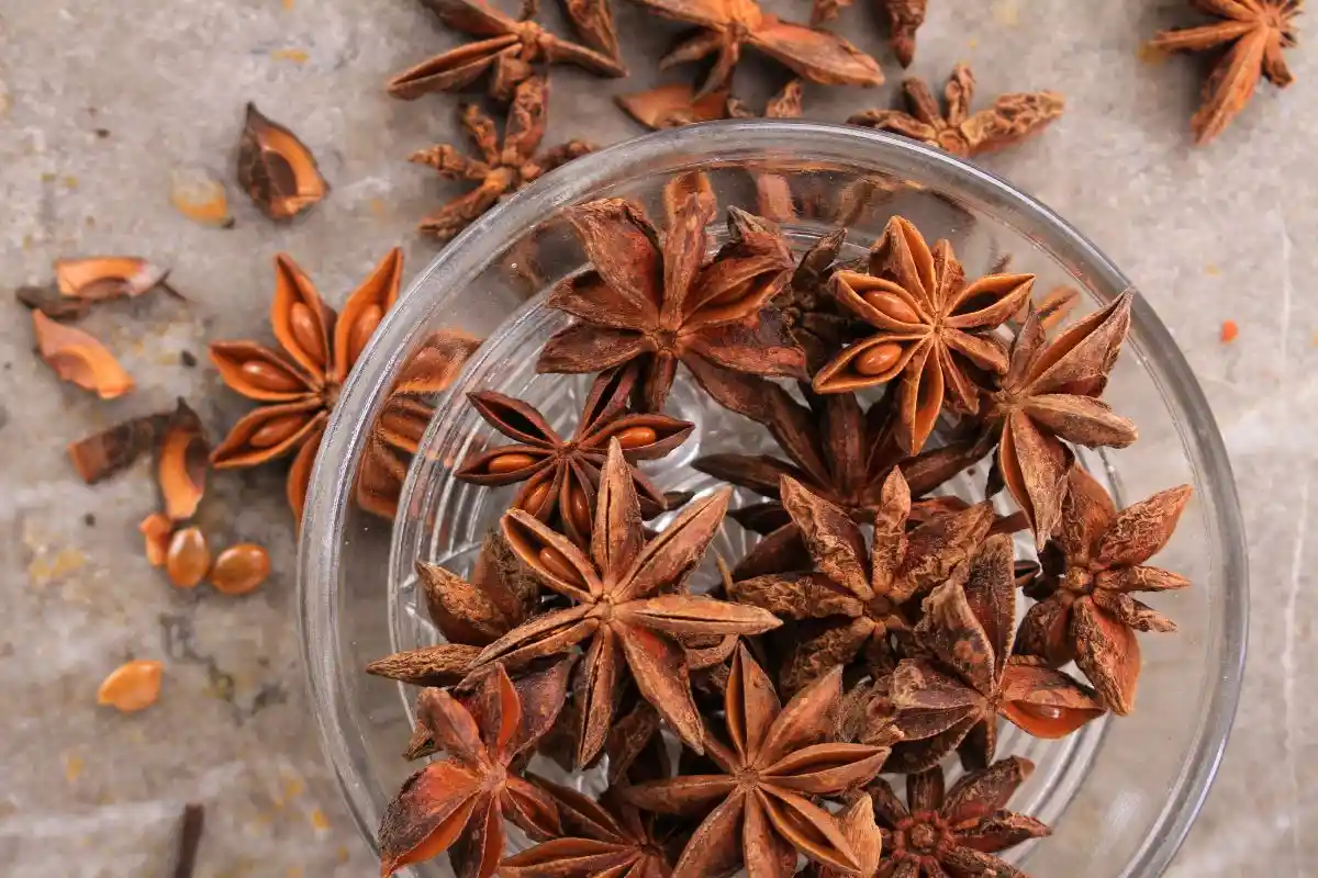 Descubra o que é o chá de anis estrelado. Como fazer o chá de anis estrelado. Para que serve e os beneficios do chá de anis estrelado. E aprenda 7 receitas de chá de anis estrelado.