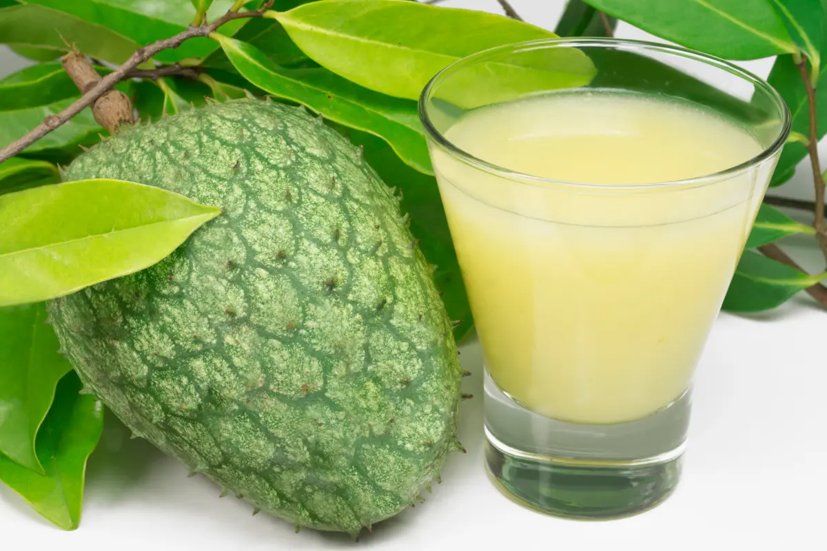  Aprenda como fazer suco de graviola e descubra os benefícios do suco de graviola, seus nutrientes, possíveis efeitos colaterais e a origem e curiosidades da graviola.