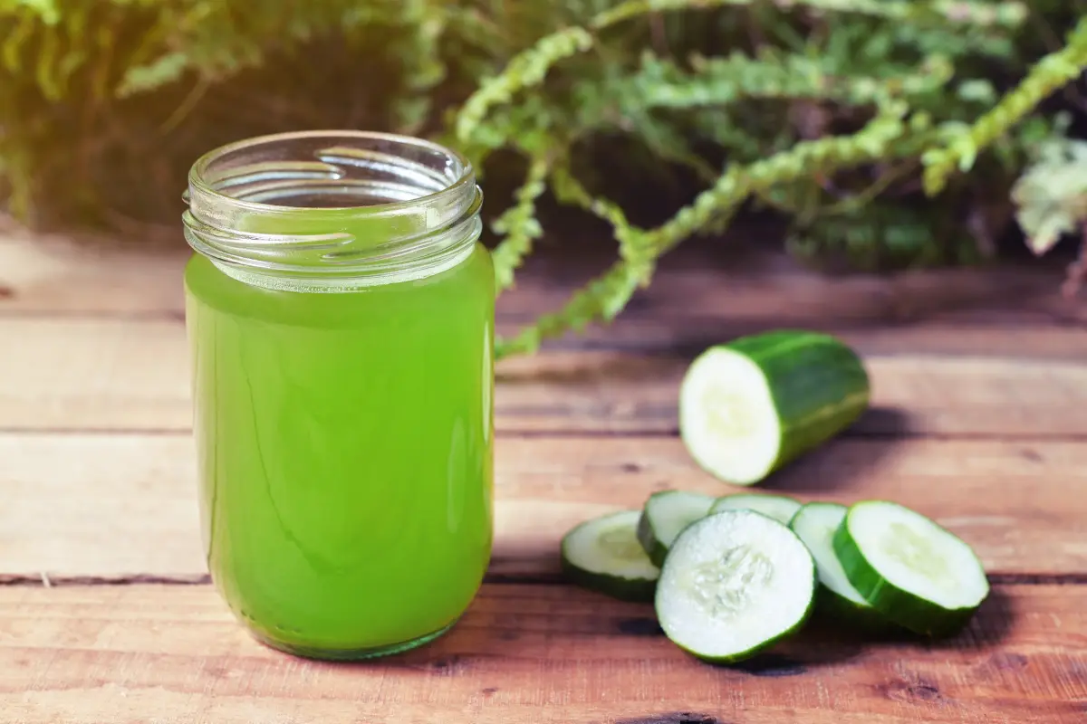 Conheça os benefícios do suco de pepino para a saúde e aprenda deliciosas receitas para incluir essa bebida poderosa na sua rotina.