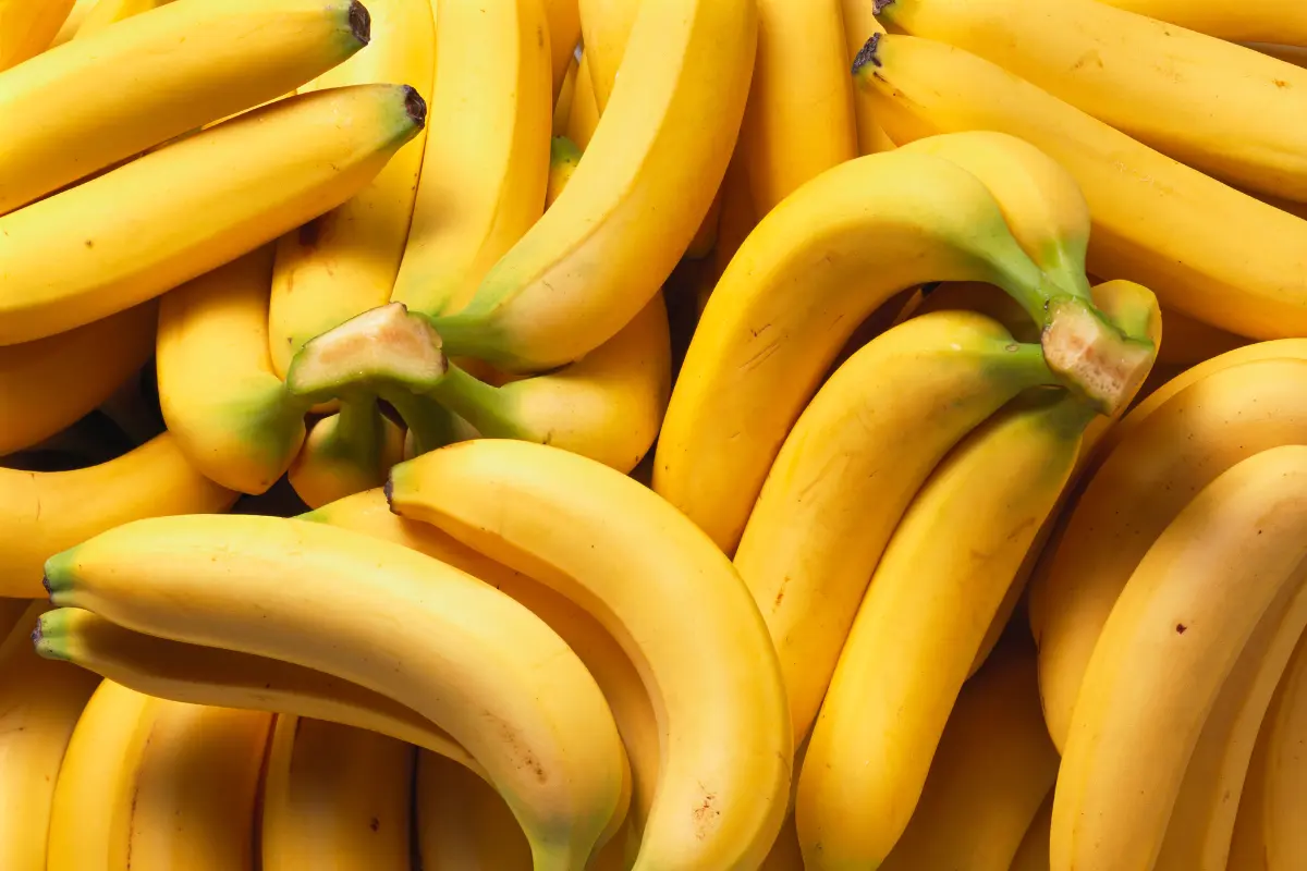 Descubra os benefícios da vitamina de banana com aveia, aprenda a fazer deliciosas receitas e conheça curiosidades sobre esses ingredientes incríveis para a saúde.