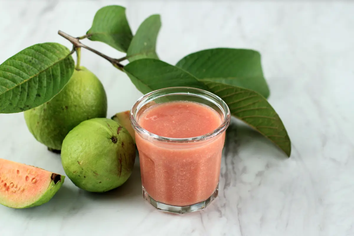 Descubra por que a vitamina de goiaba é uma excelente escolha para manter a saúde em dia e prevenir doenças. Aprenda como fazer diversas receitas da vitamina de goiaba e como consumir da melhor maneira e livre de riscos.