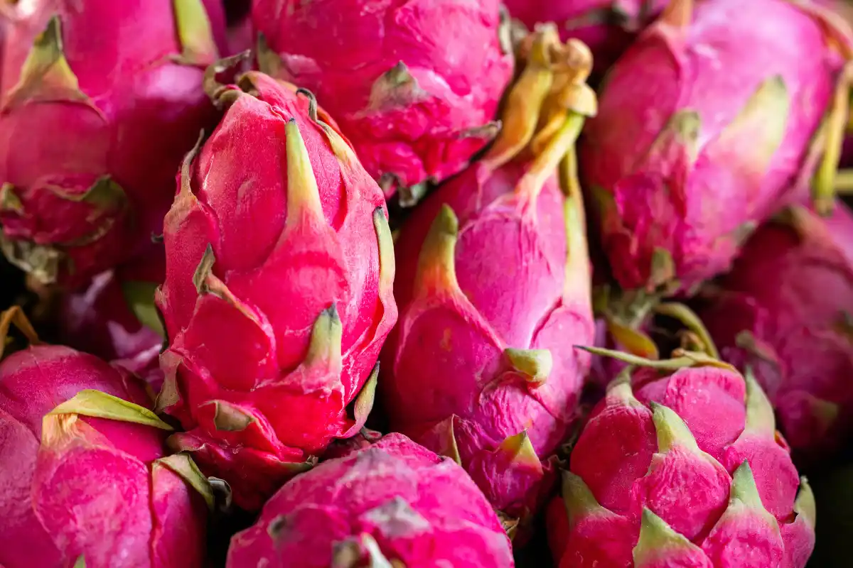 Conheça os incríveis benefícios do suco de pitaya para a saúde, aprenda como fazer em casa mais de 10 variações de receitas do delicioso e nutritivo suco de pitaya